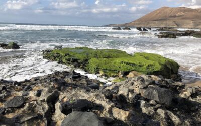 Fuerteventura – die schönsten Strände abseits der Touristenscharen