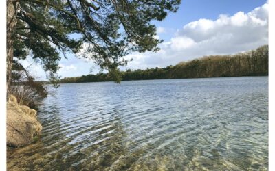 Niederlande Barrierefrei – Rollstuhlgerechtes Ferienhaus in Nord-Brabant