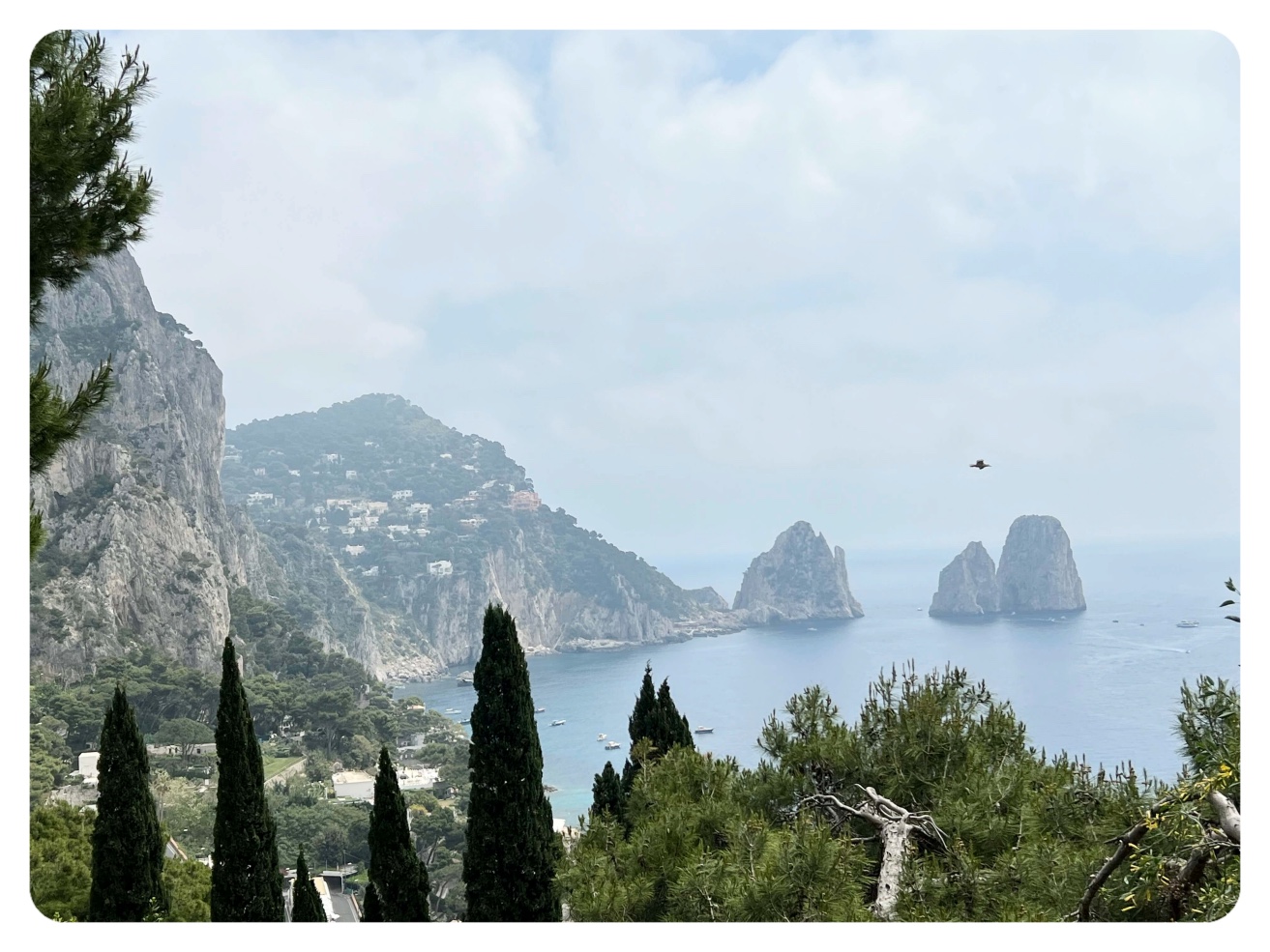 Außergewöhnlicher AUssichtspunkt Capri