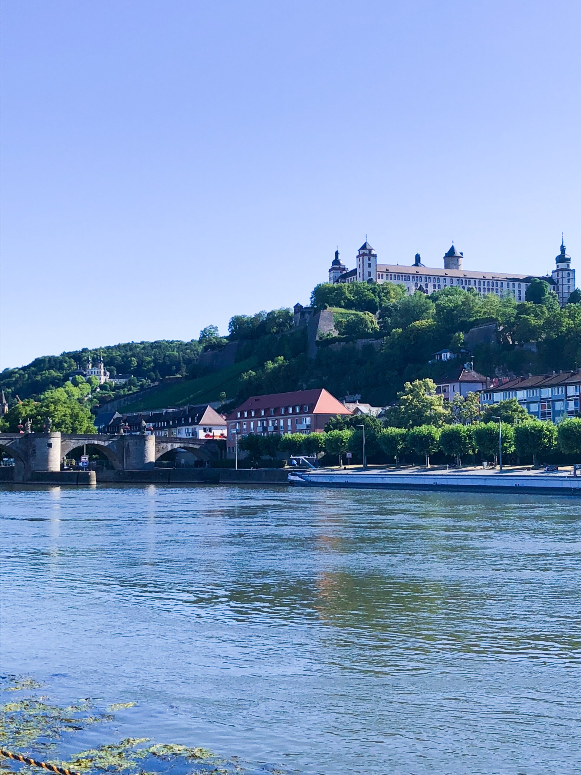 Mainufer in Würzburg